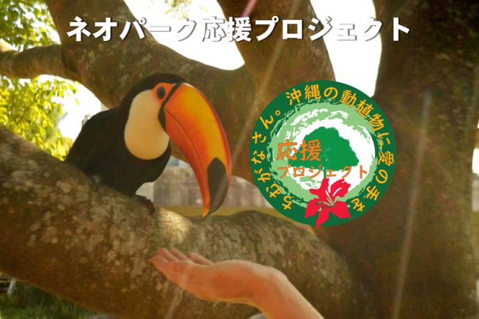 TOPICS
			ネオパークオキナワからのお知らせ