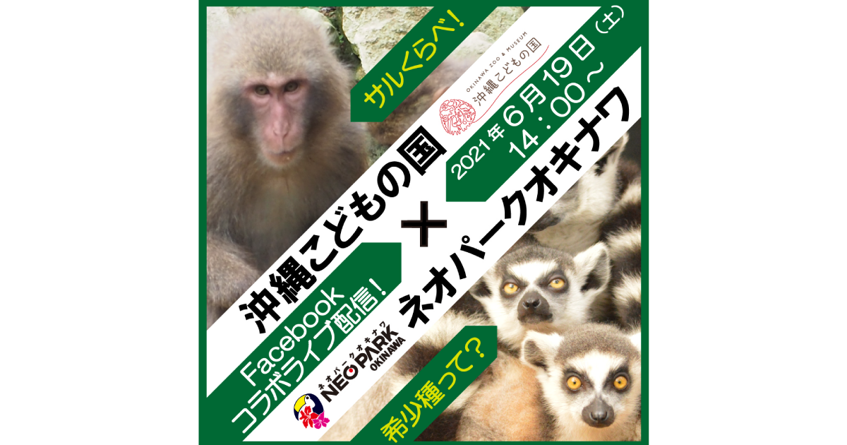 祝 初コラボライブ配信 沖縄こどもの国 ネオパークオキナワ 名護市 ネオパークオキナワ 祝 初コラボライブ配信 沖縄こどもの国 ネオパークオキナワ 名護市 ネオパークオキナワ