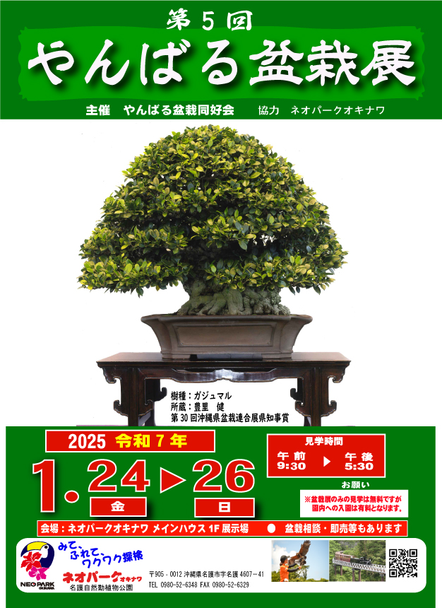 第5回やんばる盆栽展