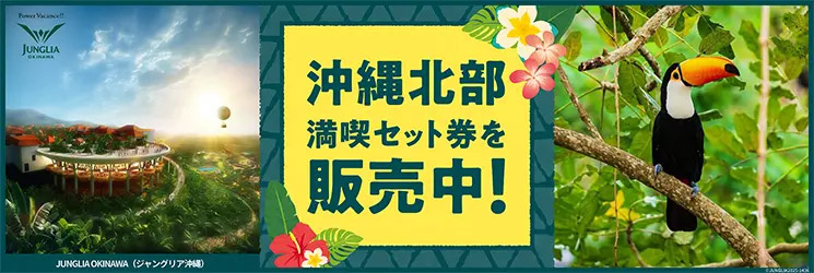 北部満喫セット券